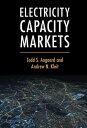 Electricity Capacity Markets【電子書籍】 Todd S. Aagaard