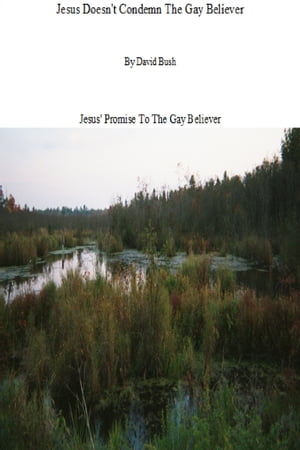 ŷKoboŻҽҥȥ㤨Jesus Doesn't Condemn The Gay BelieverŻҽҡ[ David Bush ]פβǤʤ131ߤˤʤޤ