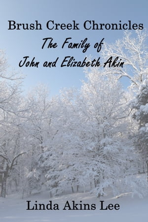 Brush Creek Chronicles: The Family of John and Elizabeth Akin