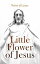 Little Flower of Jesus