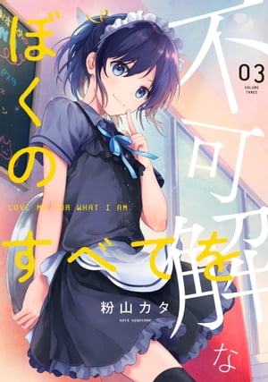 不可解なぼくのすべてを 3【電子限定特典付き】【電子書籍】 粉山カタ