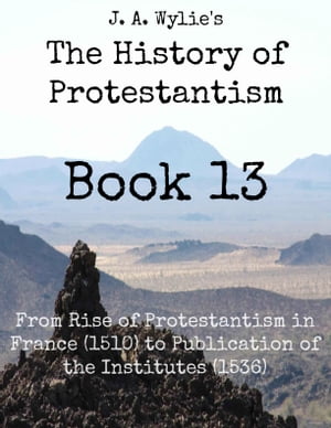 From Rise of Protestantism in France (1510) to Publication of the Institutes (1536): Book 13Żҽҡ[ James Aitken Wylie ]