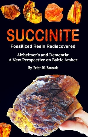 Succinite Fossilized Resin Rediscovered