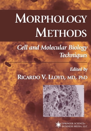 Morphology Methods Cell and Molecular Biology Techniques