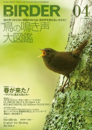 BIRDER2017年4月号