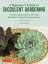 Beginner's Guide to Succulent Gardening