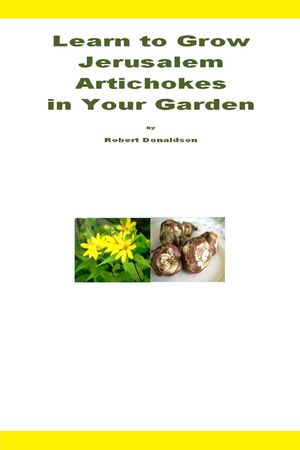 Learn to Grow Jerusalem Artichokes in Your Garden