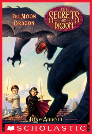 The Moon Dragon (The Secrets of Droon #26)