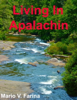 Living In Apalachin