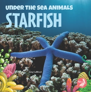 StarfishŻҽҡ[ Amy Culliford ]