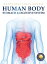 digestive system for kidsの画像