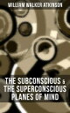 THE SUBCONSCIOUS & THE SUPERCONSCIOUS PLANES OF MIND Psychology: Diverse States of Consciousness