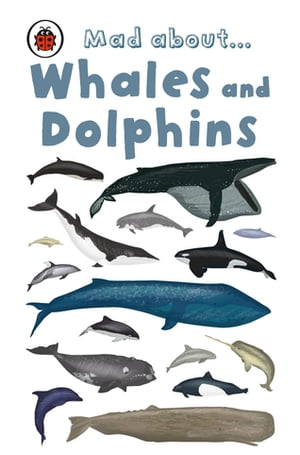 Mad About Whales and Dolphins