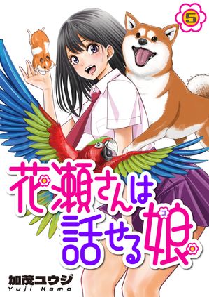 ä̼(5)Żҽҡ[ Х楦 ]