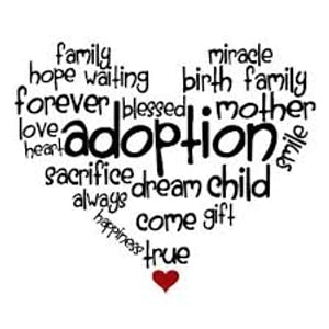 ŷKoboŻҽҥȥ㤨Guidelines Used by Adoption AgenciesŻҽҡ[ T Holiday ]פβǤʤ195ߤˤʤޤ