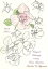 Original Drawings Including Roses, Lavatera, Acanthus and Hypericum