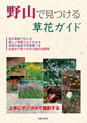 野山で見つける草花ガイド