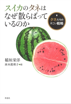 スイカのタネはなぜ散らばっているのか　～タネたちのすごい戦略【電子書籍】[ 稲垣栄洋 ]