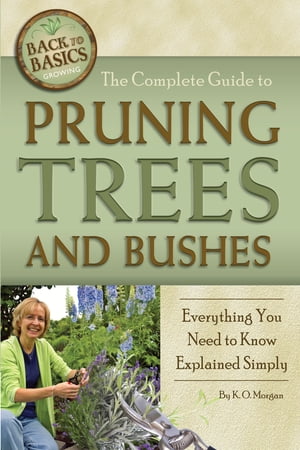 The Complete Guide to Pruning Trees and Bushes: Everything You Need to Know Explained Simply