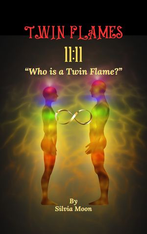 QUESTIONS TWIN FLAME NEWBIES ASK