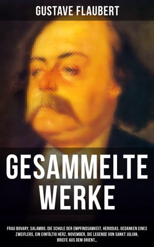 Gesammelte Werke Frau Bovary, Salambo, Die Schul