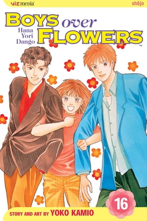 Boys Over Flowers, Vol. 16