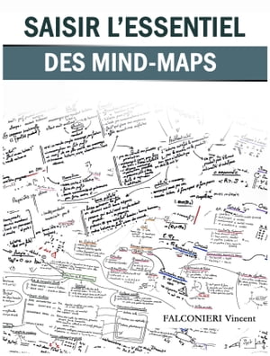 Saisir l'essentiel des Mind-Maps Efficacit? et enseignement