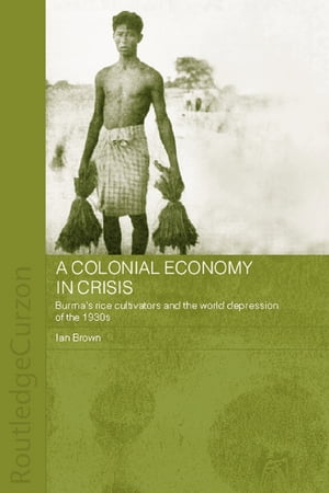 A Colonial Economy in Crisis