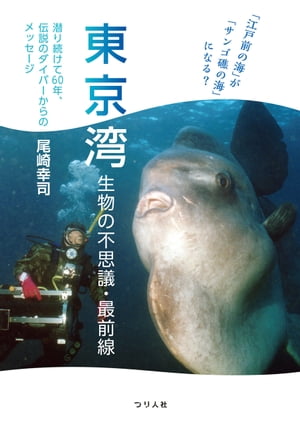 「江戸前の海」が「サンゴ礁の海」になる?東京湾生物の不思議・最前線