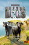 Survivor Dogs - Dunkle Spuren. Ein namenloser Verr?ter Staffel II, Band 3Żҽҡ[ Erin Hunter ]