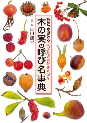 木の実の呼び名事典 散歩で見かける【電子書籍】[ 亀田龍吉 ]