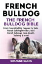 French Bulldog The French Bulldog Bible From French Bulldog Puppies for Sale, Fr...