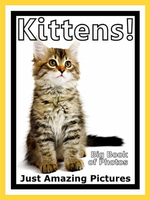 Just Kitten Photos! Big Book of Photographs & Pictures of Baby Cats & Cat Kittens, Vol. 1