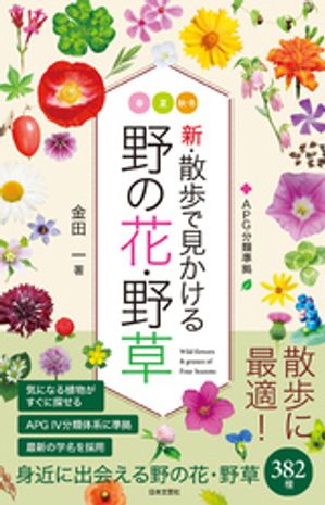 金田一