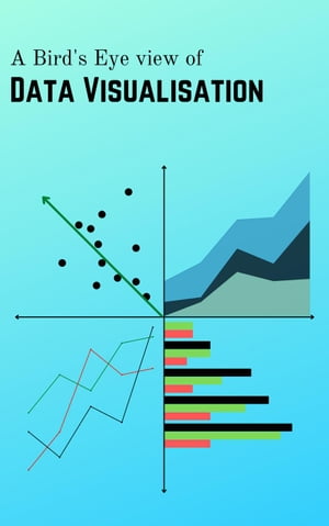 A Bird's Eye view of Data Visualisation