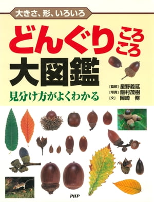 大きさ、形、いろいろ どんぐりころころ大図鑑