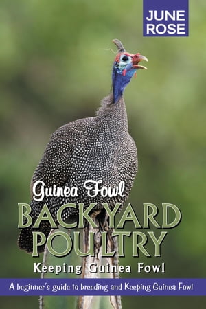 ŷKoboŻҽҥȥ㤨Guinea Fowl, Backyard Poultry Keeping Guinea FowlŻҽҡ[ June Rose ]פβǤʤ691ߤˤʤޤ