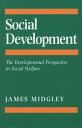 Social Development The Developmental Perspective in Social Welfare