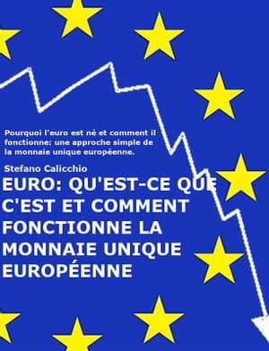 EURO: qu'est-ce que c'est et comment fonctionne la monnaie unique européenne