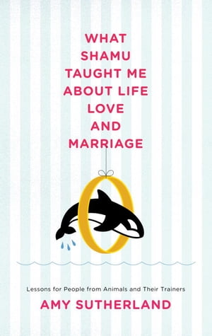 What Shamu Taught Me About Life, Love, and Marriage