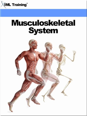 Musculoskeletal System (Human Body) Includes the Specific Diseases and Disorders, Joint Pain, Arthritis, Malformations, Deformities of Feet, Muscles, and Prevention of Foot Problems【電子書籍】