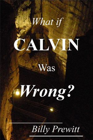 What if Calvin Was Wrong?