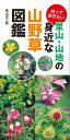 持って歩きたい　里山・山地の身近な山野草図鑑【電子書籍】[ 菱山 忠三郎 ]