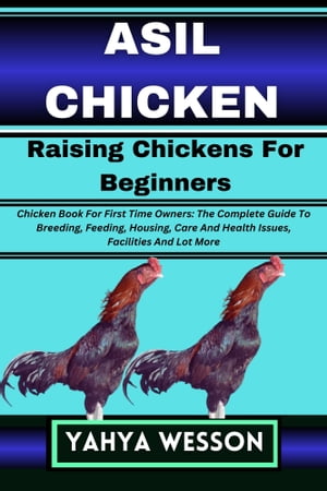 ASIL CHICKEN Raising Chickens For Beginners