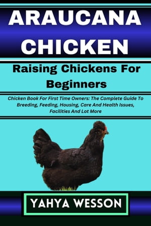 ARAUCANA CHICKEN Raising Chickens For Beginners