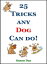 Tricks Any Dog Can Do!Żҽҡ[ Susan Day ]