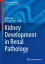 Kidney Development in Renal Pathology