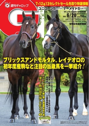 週刊Gallop 2021年6月20日号【電子書籍】