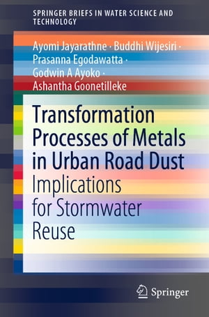 Transformation Processes of Metals in Urban Road Dust