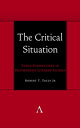 The Critical Situation Vexed Perspectives in Postmodern Literary Studies【電子書籍】 Robert T. Tally Jr